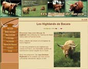 Elevage de bisons Higland &agrave; Breurey les Faverney