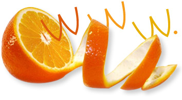 Agence web Torop.Net - Cr&eacute;ation de site en Haute Saone &agrave; Vesoul - La web vitamine