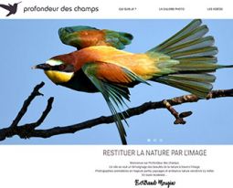 PHOTO-animaliere-44bee1